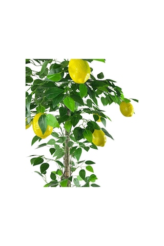 Yapay Limon Ağacı 130Cm 8 Limonlu Doğal Görünümlü Siyah Plastik S