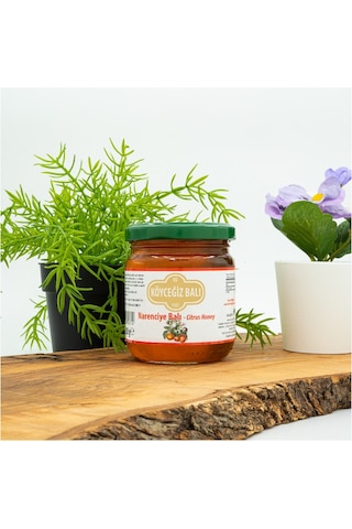 Köyceğiz Balı Narenciye Balı Cam Kavanoz 250 G