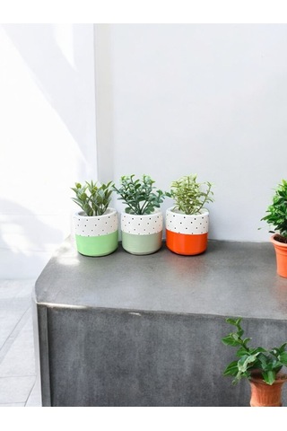 Renkli Saksı Seti Sukulent Kaktüs Dekoratif Eşya- Ev Dekorasyon - Saksı Seti 5