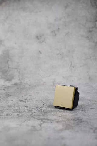 Vo'stabl Geçiş Anahtarı, Altın Mekanizmalı, Tek Tuşlu 220774411