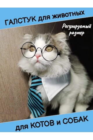 Tevdı Köpekler Ve Kediler İçin Çizgili Askılık Boyun Aksesuarı 91193897