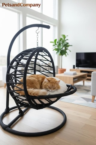 El Örgüsü Kedi Salıncağı Siyah Hamak Ve Yatak, Kadın Emeği Lüks Tasarım Kedi Evi, Minderli