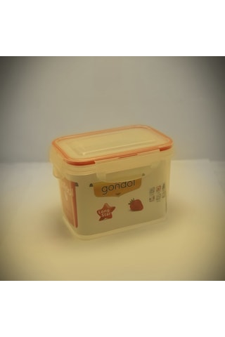 Gondol Contalı Kilitli Kapak Saklama Kabı 1 Litre Çok Renkli