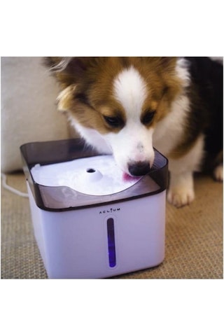 Aclıum Köpek Su Sebili 2,4 L