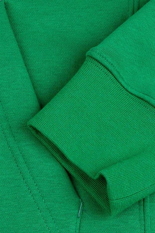 Nike M Flc Park20 Po Hoodie Erkek Sweatshirt CW6894-302-Yeşil
