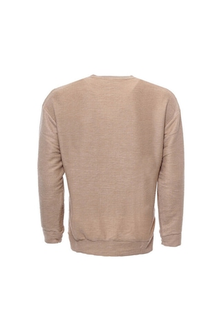 Wessi Yatay İnce Çizgili Bej Erkek Sweatshirt Bej