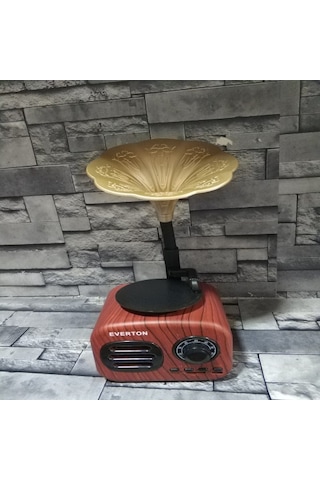 Everton RT-705Bt FM RadyoUsbBt Müzik Kutusu