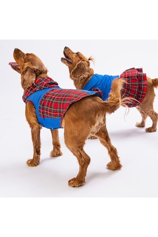 Pawstar Denim & Plaid Kedi Köpek Gömleği