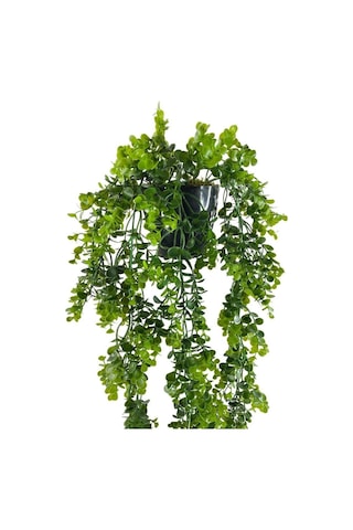 Yapay Çiçek Saksıda Sarkan Şimşir Okaliptus Yapay Sarmaşık 60Cm