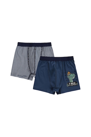 Civil Boys Trex 2-12 Yaş Erkek Çocuk 2'li Boxer Standart
