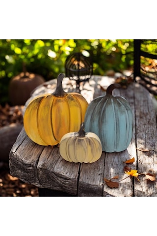 Naturel Görünümlü Balkabakları Ailesi 3'lü Set