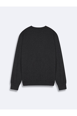 Ltb Antrasit Sweatshırt 011268608760387 218 Antrasit