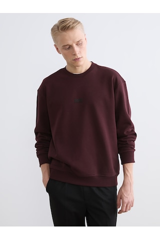 Lcw Vision Bordo Bisiklet Yaka Baskılı Erkek Kalın Sweatshirt