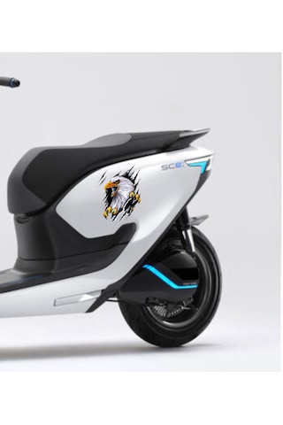 Kartal Vahşi Pençe Beşiktaş Karakartal Sticker - Araba Oto Motosiklet Sticker - 00045 12x9 Cm