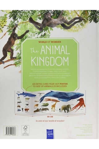Yoyo Books Animal Kingdom