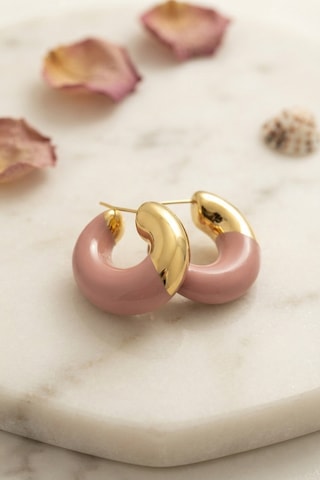 316l Çelik Gold Renk Pembe Halka Model Kadın Küpe Açık Gold