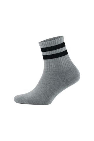 Pallmali Collection- 4'Lü Pamuklu Çemberli Kısa Yarım Konç Kolej-40-44 Çok Renkli