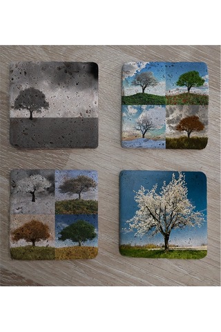 Dört Mevsim Ağaçlar Doğal Taş Bardak Altlığı 4'lü Set - Natural Stone Coasters - Taş Çok Renkli
