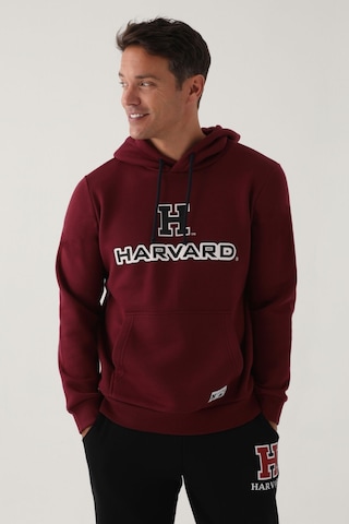 Harvard Koyu Kızıl Kahve Erkek Sweatshirt Bordo