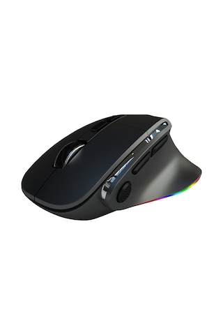 Siyah Kablosuz Ergonomik Zarif Tasarım Rgb Dual Moude 2.4ghz+bt5.0 Ofis Ve Gaming Oyuncu Faresi Diğer
