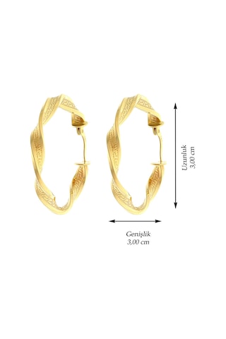 14 Ayar Altın Küpe Grek Desenli Tek Burgu Halka Küpe 3,5 Cm Çapında