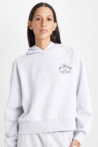 Defacto Regular Fit Kapüşonlu Baskılı Kalın Sweatshirt D6720AX24WNGR93 Gri