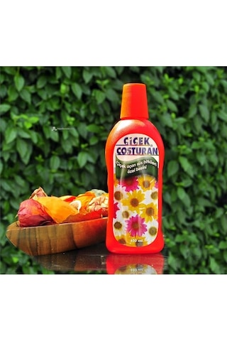 Çiçek Coşturan Çiçek Açan Süs Bitkileri için
