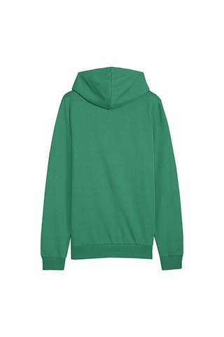 Puma Teamgoal Casuals Hoody Erkek Futbol Antrenman Sweatshirts 65861805 Yeşil