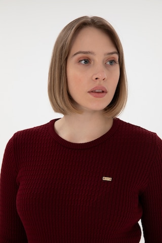 U.s. Polo Assn. Kadın Bordo Kazak /triko 50312922-vr014 Bordo