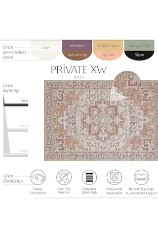 Cool Halı Private Xw Pastel Renkli Vintage Halı Soft Modern Yıkanabilir Eskitme Bohem Salon Halısı