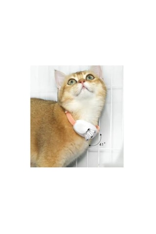 Mara Şarjlı Lazerli Kedi Tasması 10 Cm