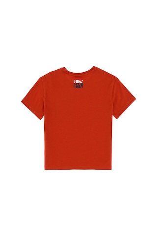 U.S. Polo Assn. Erkek Çocuk Kiremit Bisiklet Yaka Tişört 50295428-VR031