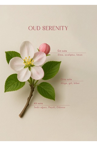 Bella Maison Oud Serenity Oda Spreyi Amber 500 Ml Gül