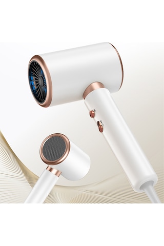 Yüksek Hızlı Elektrikli Saç Kurutma Makinesi Anion Yüksek Güçlü Salon Ev Kullanı