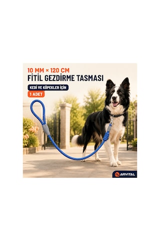 Evcil Hayvan Fitil Gezdirme Tasması 10 Mm X 120 Cm Kedi Köpek Gezdirme İpi Çok Renkli
