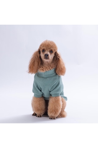 Yeşil Teddywood Ayıcık Nakışlı Esnek Sıcak Tutan Köpek Sweati Köpek Kıyafeti Kedi Kıyafeti