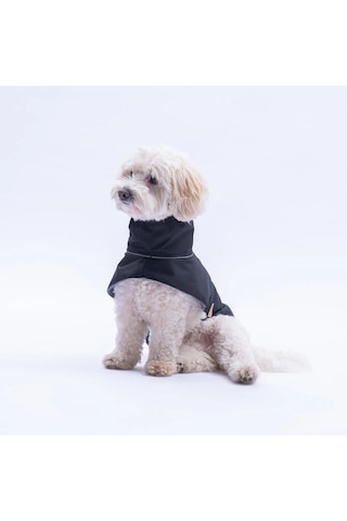 Pawstar Polarlı Siyah Colombia Prime Su Geçirmez Orta-büyük Irk Köpek Pratik Yağmurluk