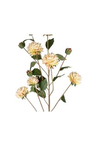 Krizantem Krem 77 Cm.