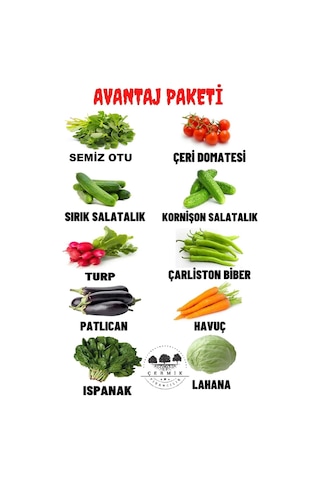 10 Çeşit Karışık Tohum Paketi 4