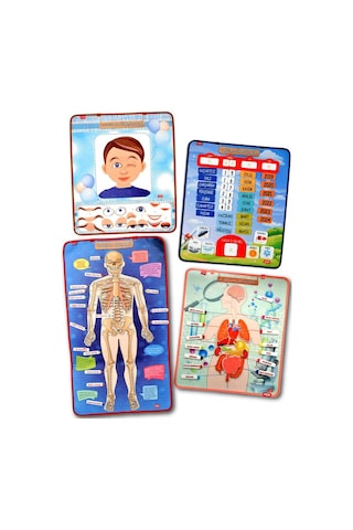 4 Set 127 Parça Tox Iskelet . Iç Organlar Sistemi . Takvim ve Du