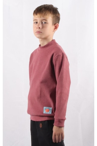 Alexandergardı Bisiklet Yaka Çocuk Sweatshırt C22-91700 001