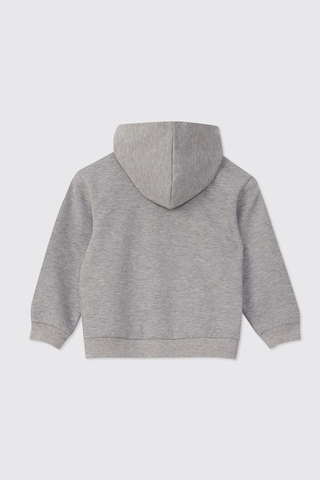 Panço Erkek Bebek Fermuarlı Gri-melanj Sweatshirt