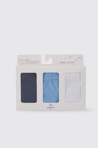 Panço Erkek Çocuk 3'lü Slip Set Renkli