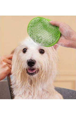 Büro Ev Ofis Evcil Hayvanı Kedi İçin Tüy Toplama Yıkama Silikon Kaşınma Fırçası