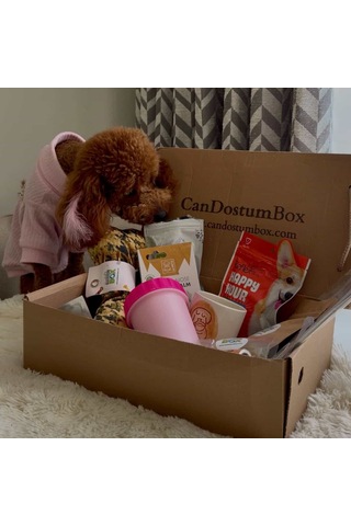 Candostumbox Evcil Hayvan Hediye Kutusu Kedi Köpek Tavşan Kuş B