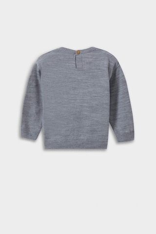 Defacto Erkek Bebek Bisiklet Yaka Ayı Baskılı Kazak F2584a525augr396 Gri