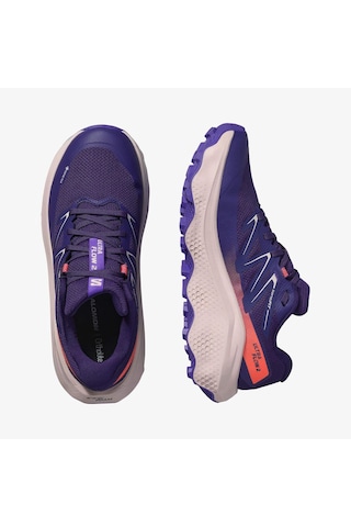 Salomon Ultra Flow 2 Gtx Kadın Ayakkabısı L4788430 Çok Renkli