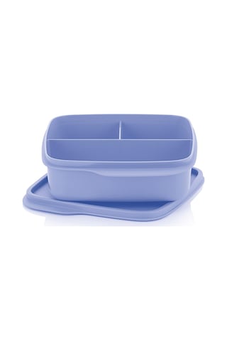 Tupperware Bölmeli Beslenme Kutusu 550 ML Böğürtlen