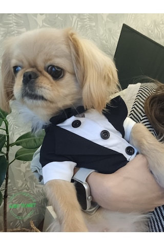 Gobo Papyonlu Smokin Damatlık Kedi Köpek Giyim Takım Elbise