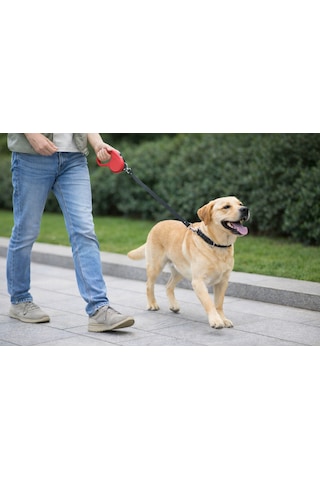 Petesia Single Otomatik Köpek Gezdirme Tasması 5 M 15 Kg Mavi